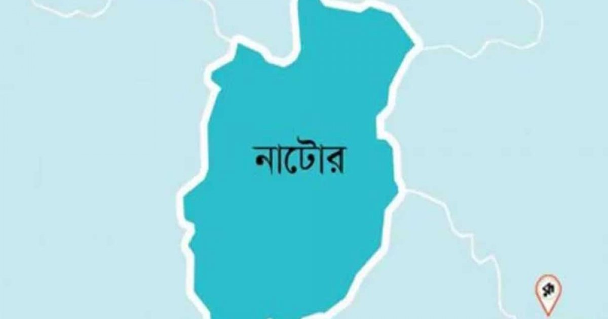 যুবদল-যুবলীগ নেতা মিলে কৃষকের জমি দখল-পুকুরের মাছ লুট