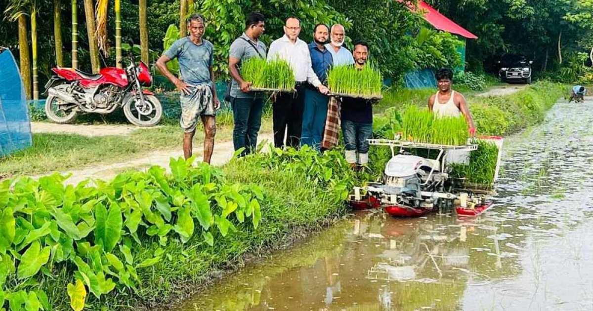 ক্ষতি পুষিয়ে ঘুরে দাঁড়াচ্ছেন সোনাগাজীর কৃষকরা