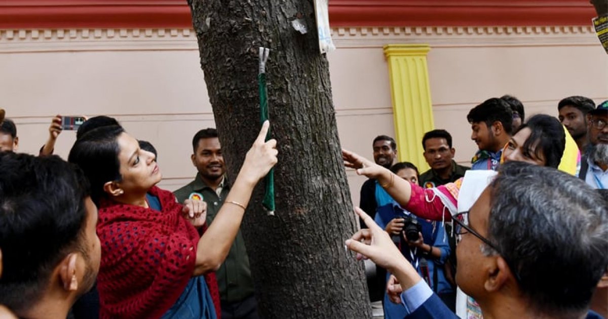 আতশবাজি ও পটকা না ফোটানোর আহ্বান পরিবেশ উপদেষ্টার