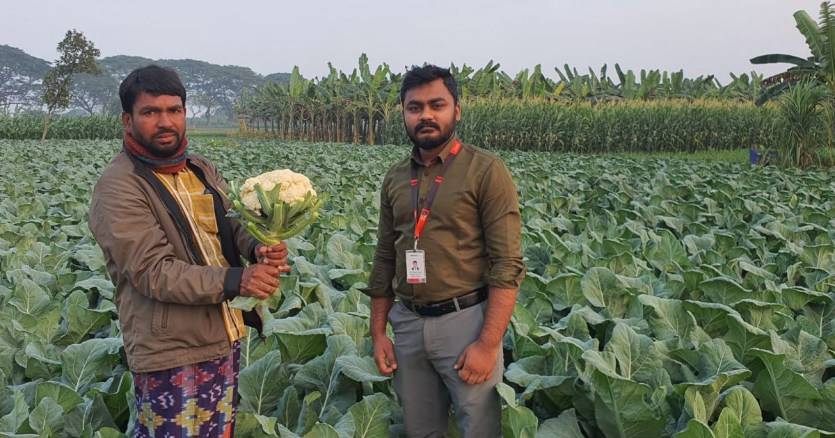 হতাশ হয়ে পড়া মেহেরপুরের কৃষকের পাশে ‘স্বপ্ন’