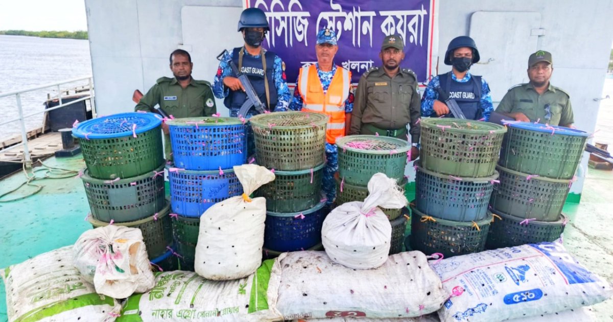 সুন্দরবনে ৮৫০ কেজি কাঁকড়া জব্দ