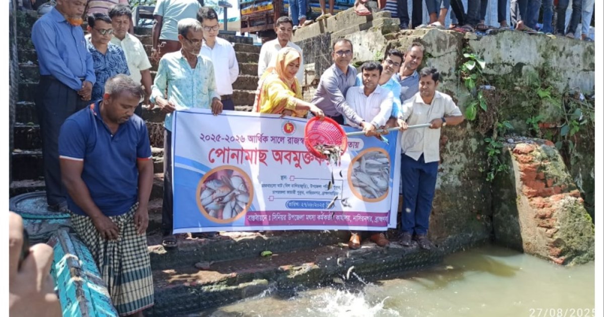 নাসিরনগরে বিভিন্ন জলাশয়ে ৪৮৬ কেজি পোনামাছ অবমুক্তি