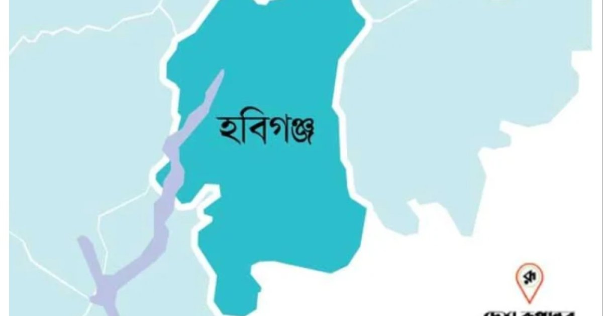 মাধবপুরে পৃথক ঘটনায় দুইজনের মৃত্যু