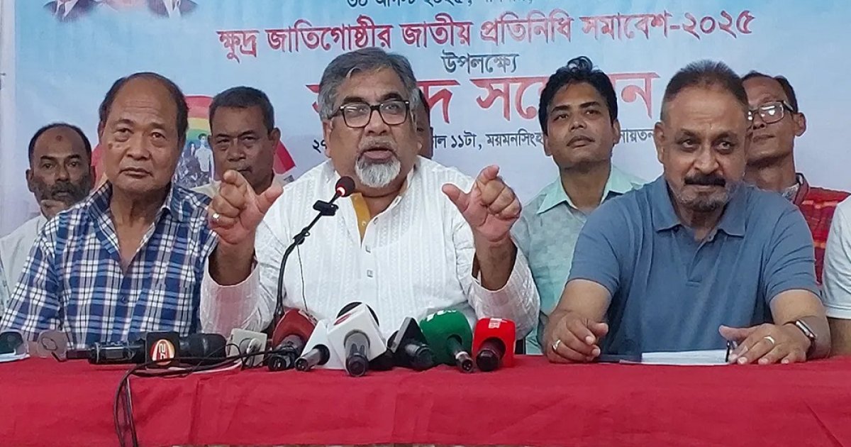 ফজলুর রহমানের বক্তব্যে বিব্রত বিএনপি: প্রিন্স