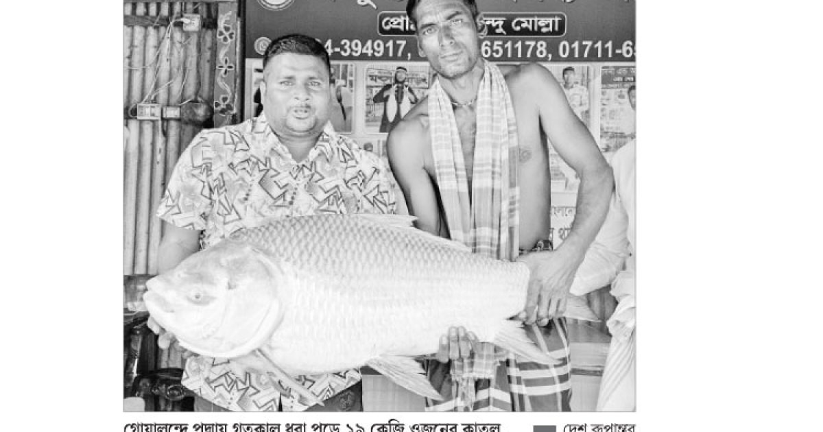 এক কাতলের দাম ৪৪ হাজার