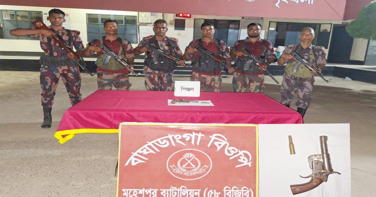 ঝিনাইদহে সীমান্তে অস্ত্র গুলি উদ্ধার