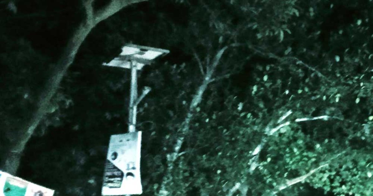 ৪৩ কোটি টাকা ব্যয়ে স্থাপিত সৌরবাতির ৯০ ভাগই অচল