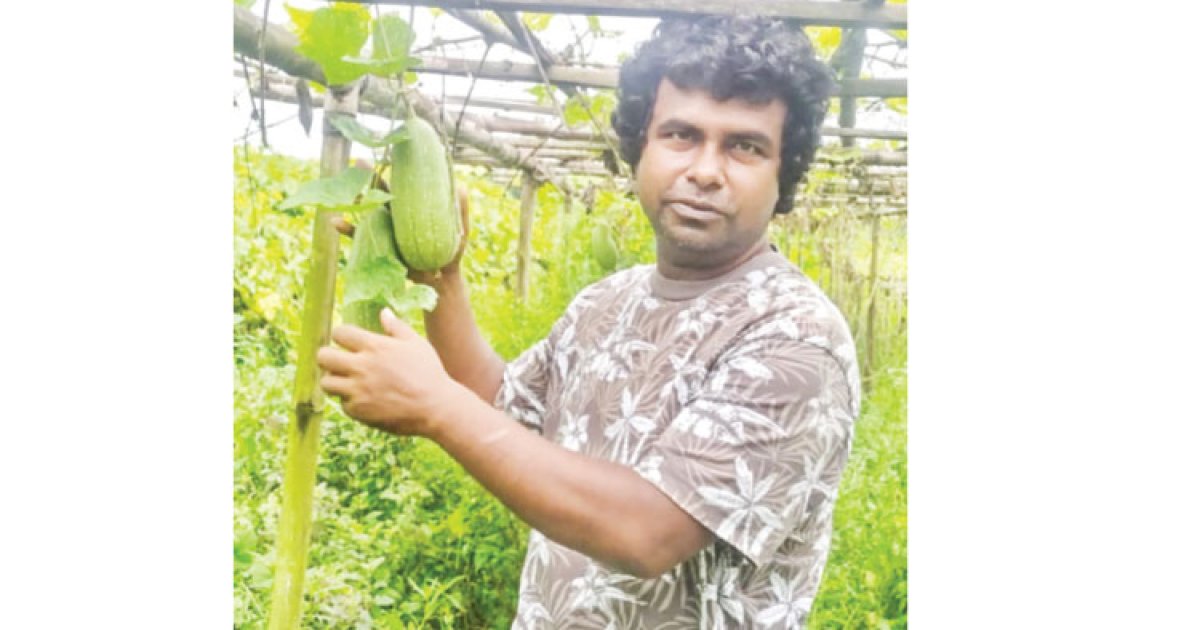 অনুকরণীয় প্রাণবৈচিত্র্য খামার