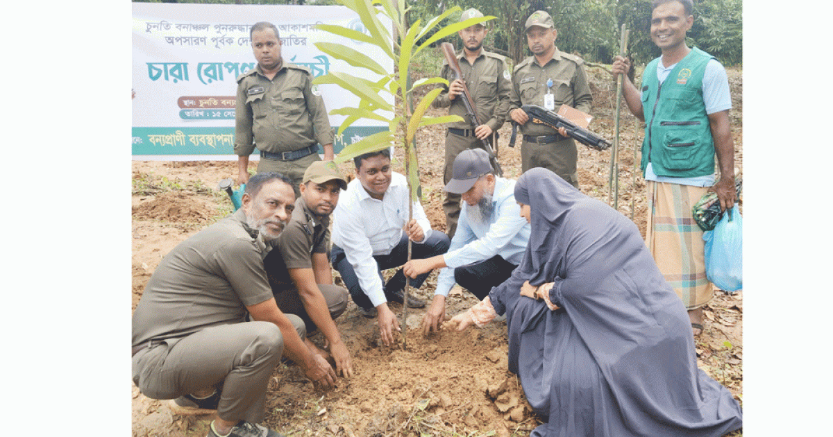 চুনতি বন পুনরুদ্ধারে দেশীয় প্রজাতির বৃক্ষরোপণ