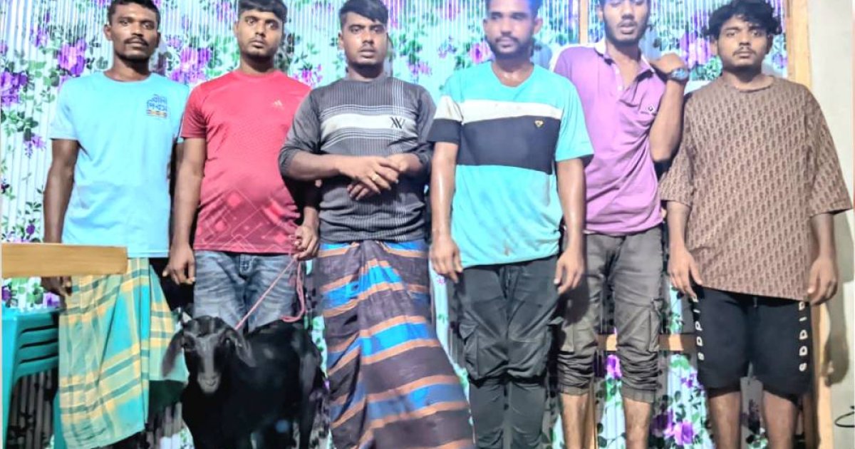 মুরাদনগরে ছাগল চুরি করায় ৬ জনকে গণপিটুনি