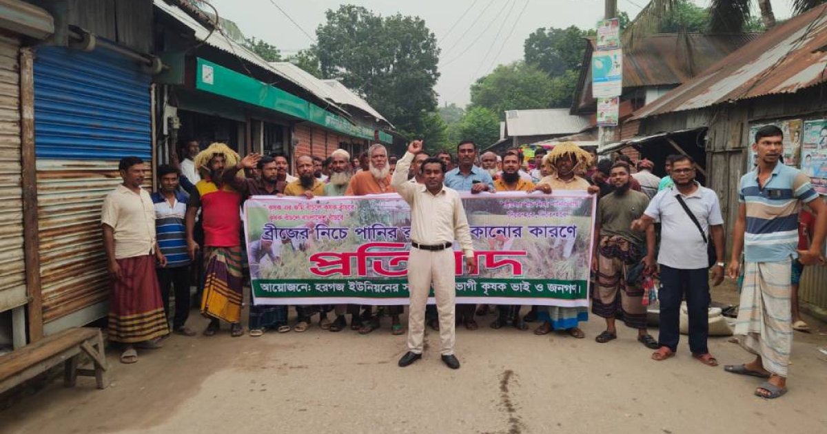 সাটুরিয়ায় সেতুর মুখে মাটি ভরাটের প্রতিবাদে কৃষক