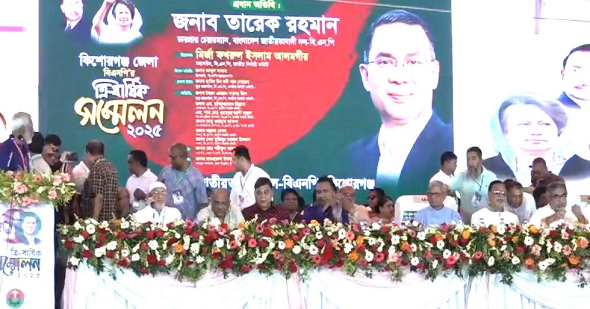 দেশে অনেক ষড়যন্ত্র চলছে : মির্জা ফখরুল