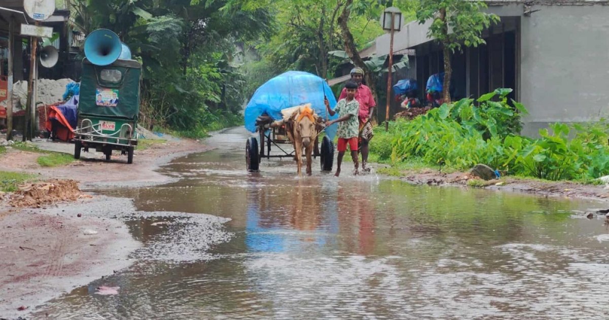 সখীপুরে কালভার্টের মুখ বন্ধ, জলাবদ্ধতায় চরম দুর্ভোগ