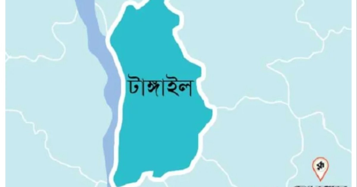 সখীপুরে শিয়াল ও বানরের কামড়ে আহত ১১