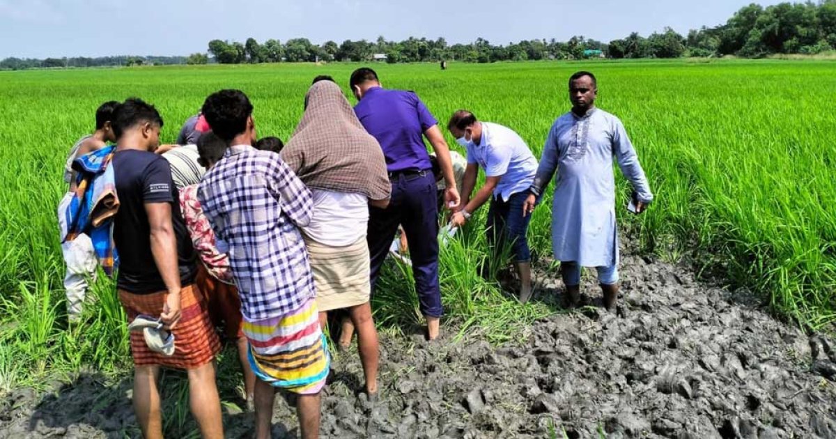 ছেলে দেখলেন বাবার লাশ জমিতে পড়ে আছে
