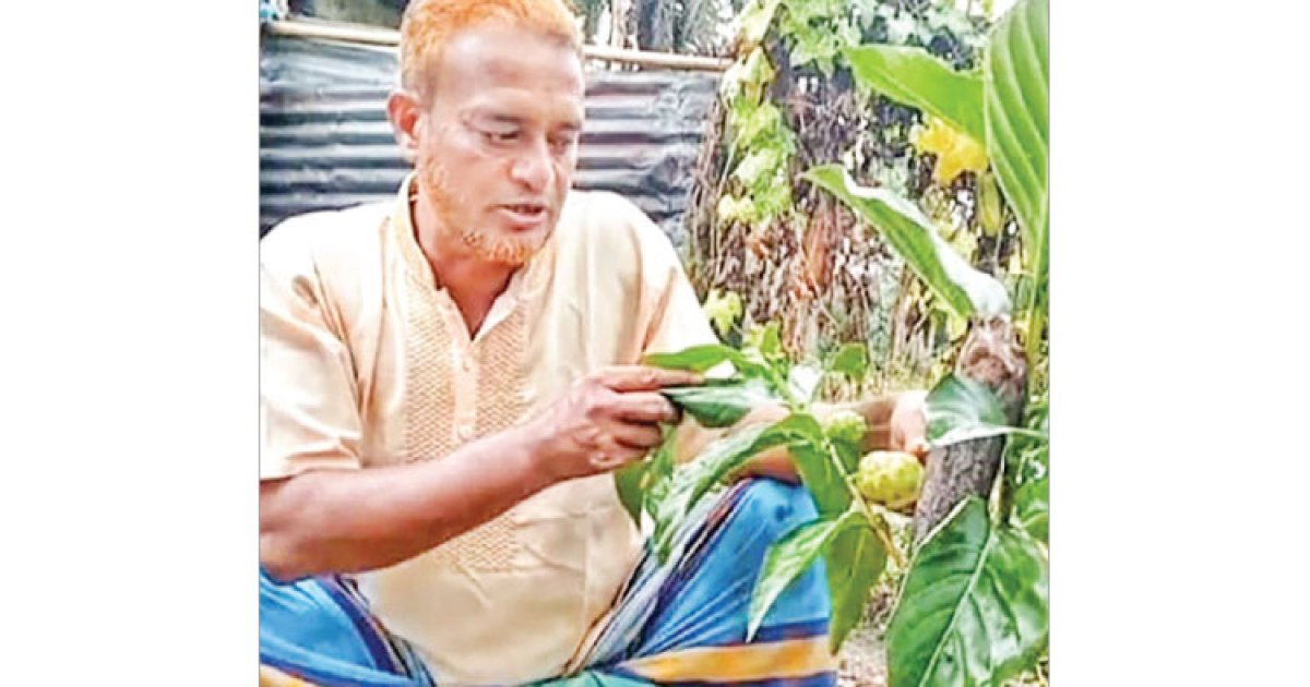 ননি ফলে চমক দেখালেন রফিক