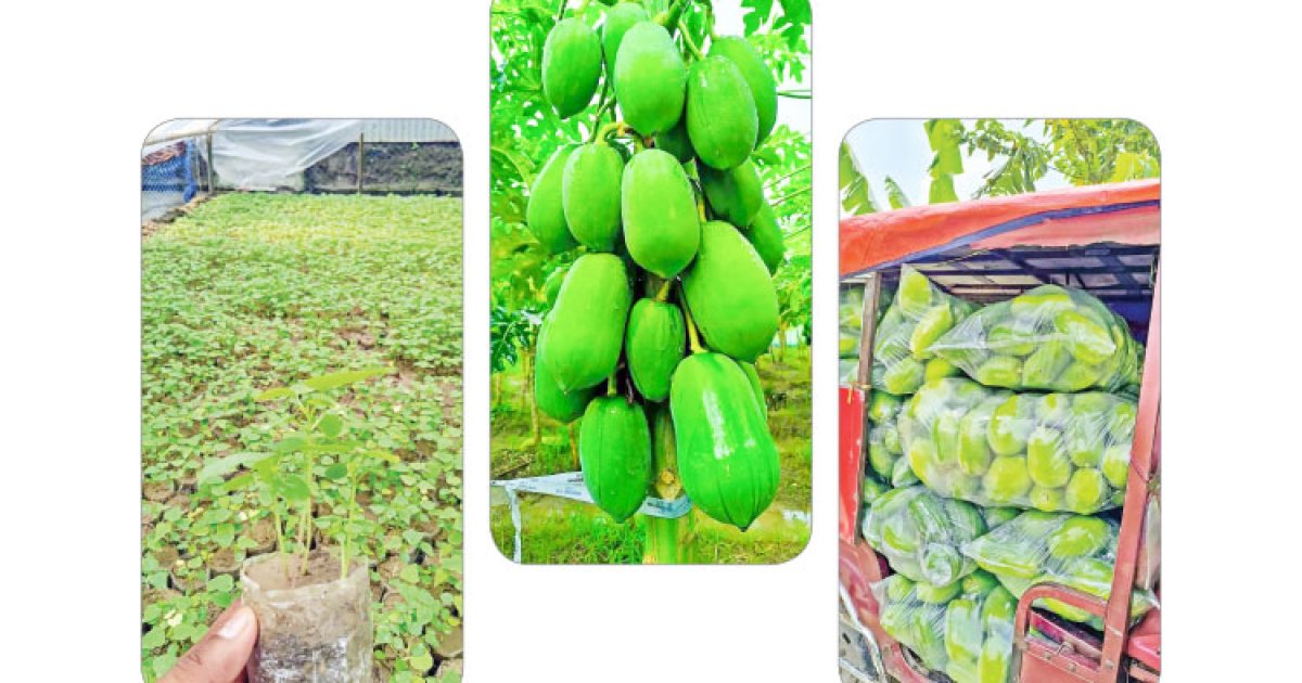 স্বাবলম্বী হাজারো কৃষক