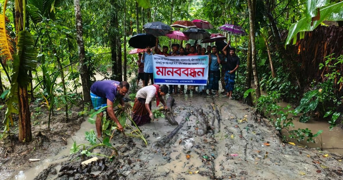 ঝালকাঠিতে কর্দমাক্ত রাস্তায় কচুগাছ রোপণ করে প্রতিবাদ