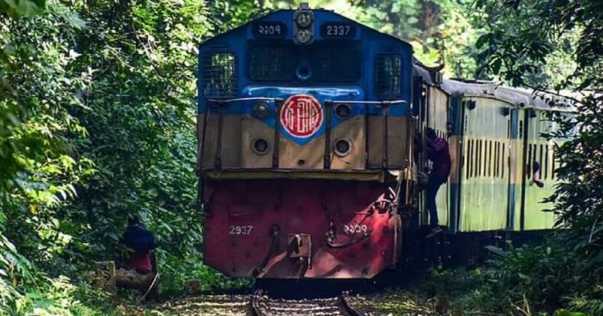 চলন্ত ট্রেন থেকে পড়ে রাজবাড়ীতে যুবক নিহত