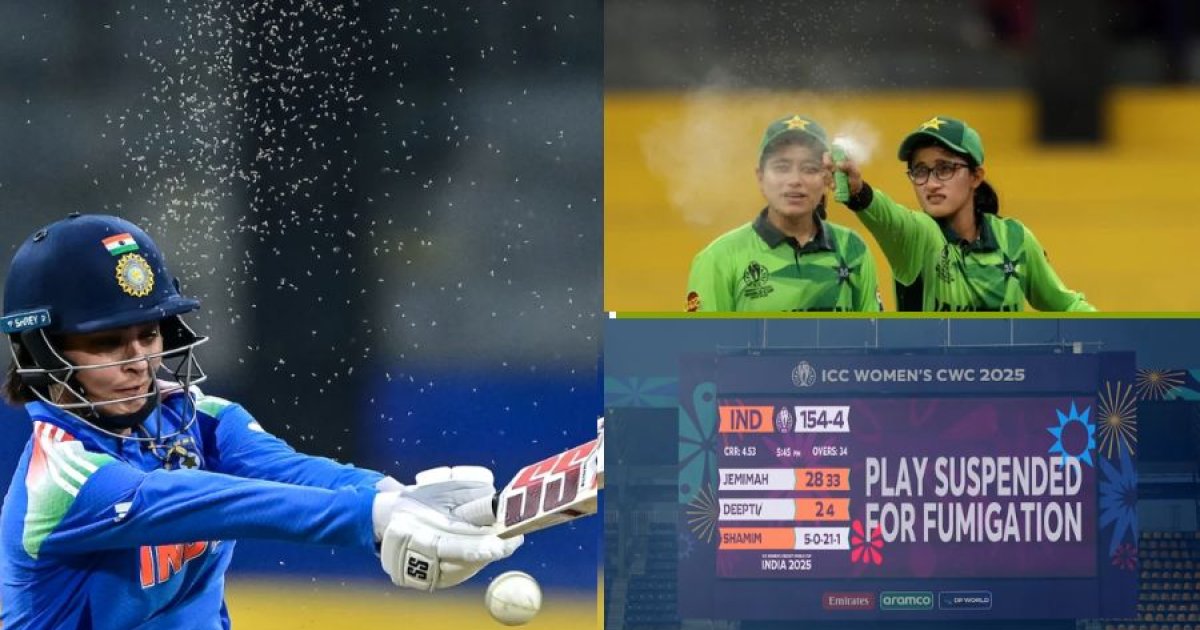 ভারত-পাকিস্তান ম্যাচে মশার উৎপাত, খেলা থামিয়ে স্প্রে করল খেলোয়াড়রা