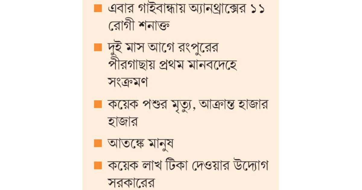 অ্যানথ্রাক্স আতঙ্ক রংপুর গাইবান্ধায়