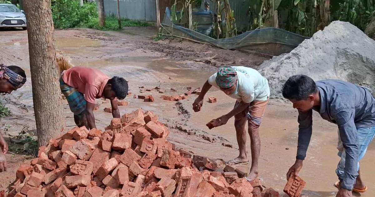 ব্যক্তি উদ্যোগে কচুয়া-আড়াইপাড়া সড়ক সংস্কার