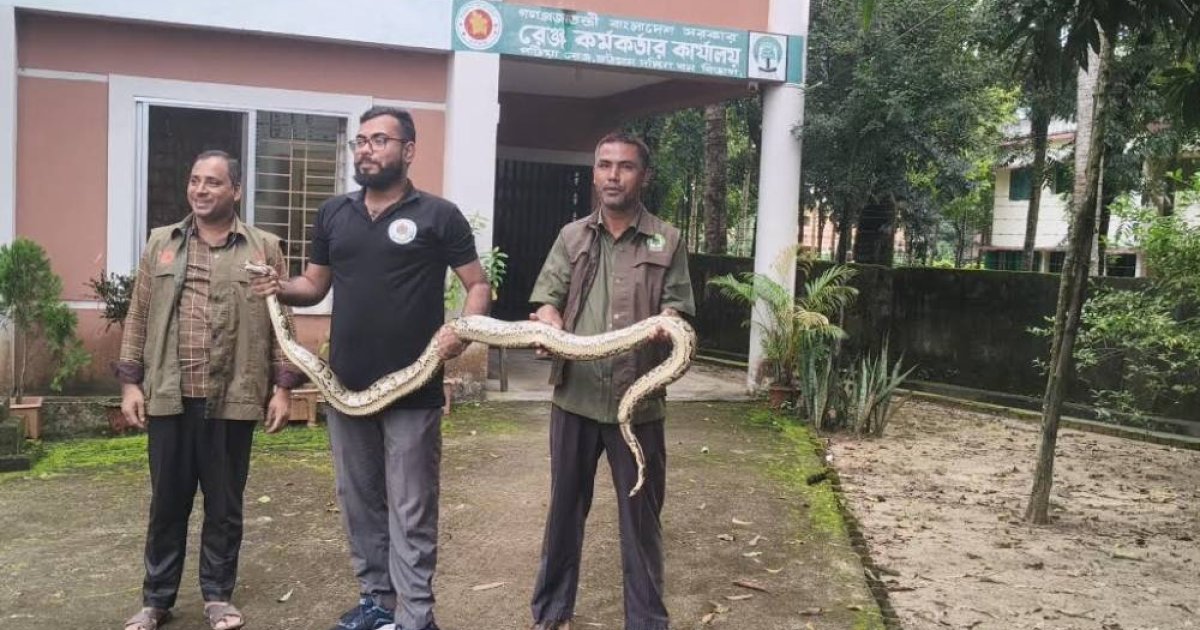 পটিয়ায় লোকালয় থেকে অজগর উদ্ধার