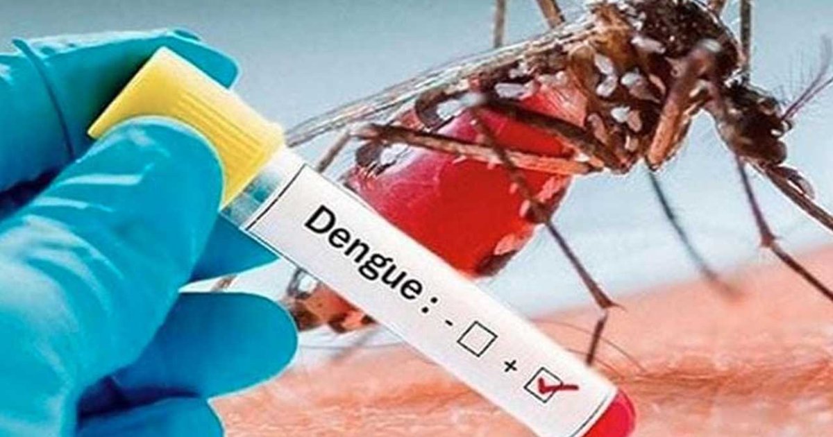 ডেঙ্গু আরও ২ জনের মৃত্যু, হাসপাতালে ভর্তি ৭১৫