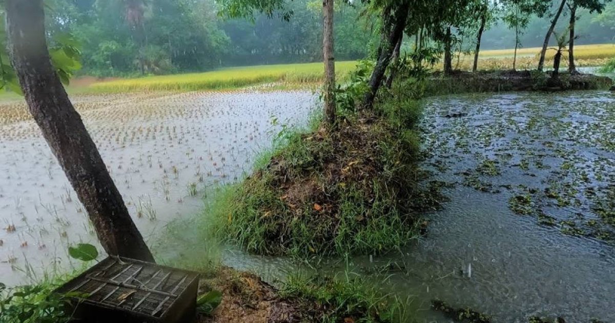 সারা দেশে হালকা থেকে মাঝারি বৃষ্টির সম্ভাবনা