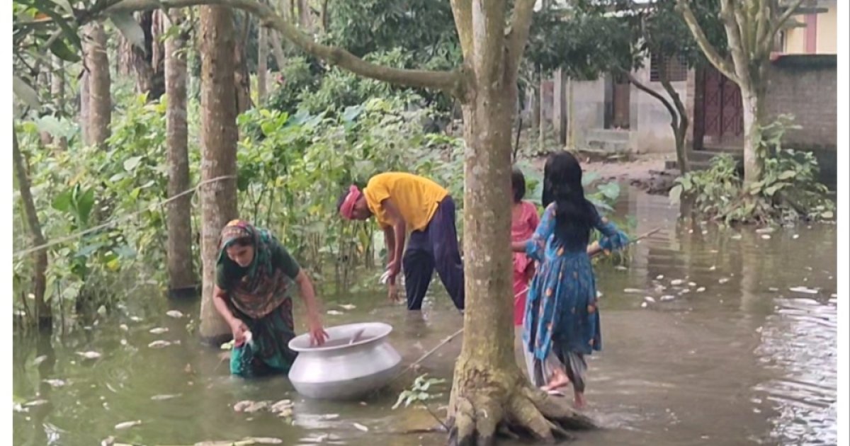 বাগাতিপাড়ায় ভ্যানচালক শাহিনের স্বপ্ন ভেসে গেল বিষে