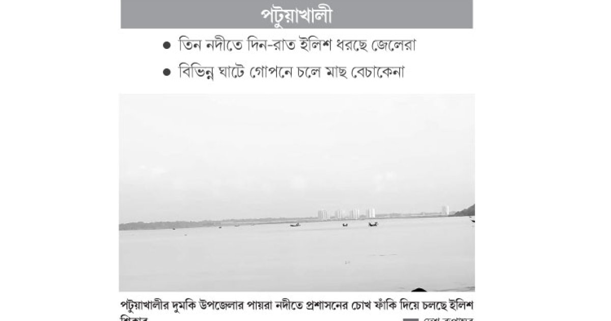 নিষেধাজ্ঞা ভেঙে চলছে ইলিশ শিকার