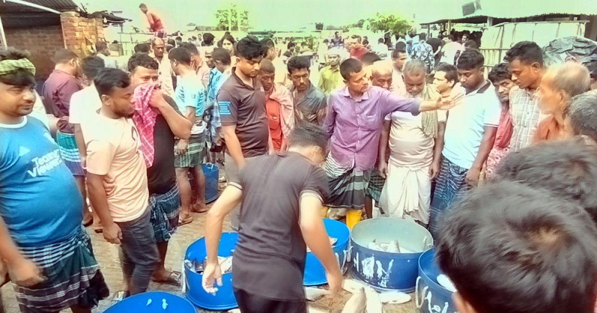 মাছের আড়ত থেকে বিএনপি নেতার ২০ লক্ষাধিক টাকা আদায়!