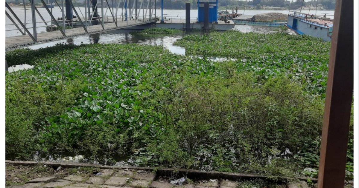 বাঘাবাড়ী নৌবন্দর ঐতিহ্য হারিয়ে প্রায় জাহাজ শূন্য