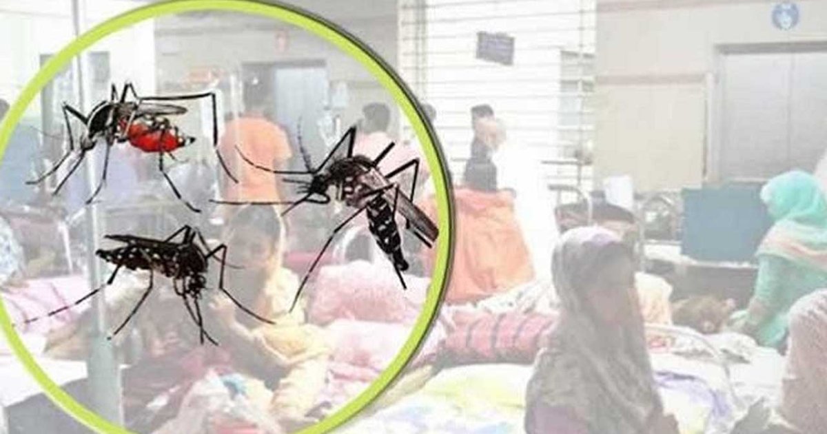 ডেঙ্গুতে আরও ৫ জনের মৃত্যু, হাসপাতালে ভর্তি ৮৪১