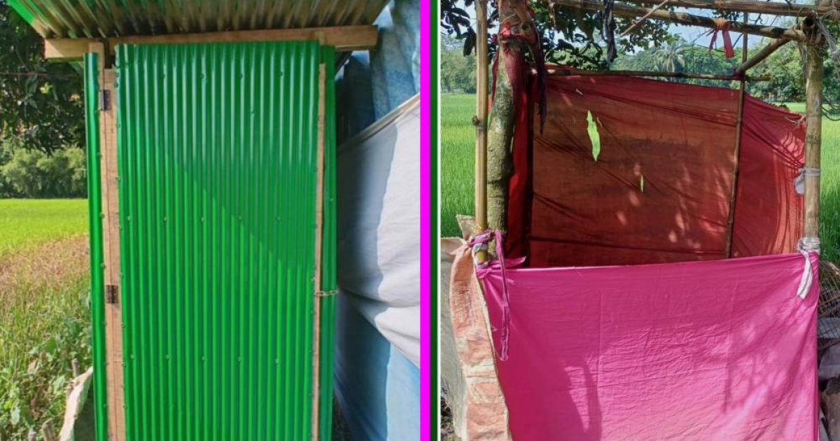 Beshinchi sinfda sinfda jinsiy aloqa