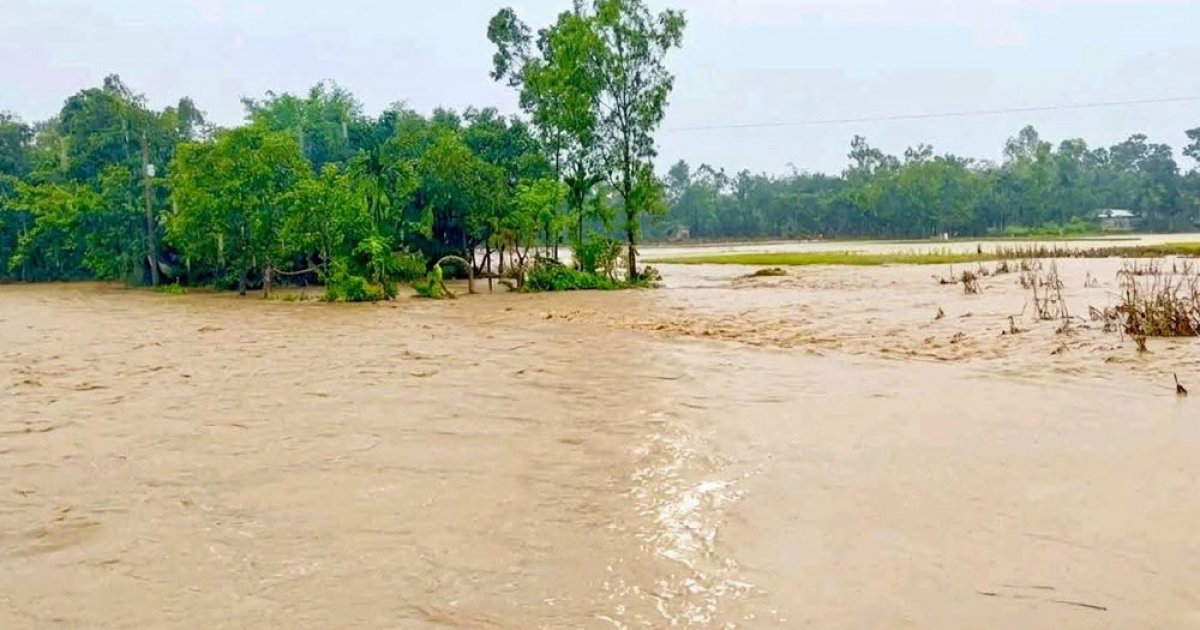 টানা বৃষ্টি আর পাহাড়ি ঢলে হালুয়াঘাটের নিম্নাঞ্চল প্লাবিত