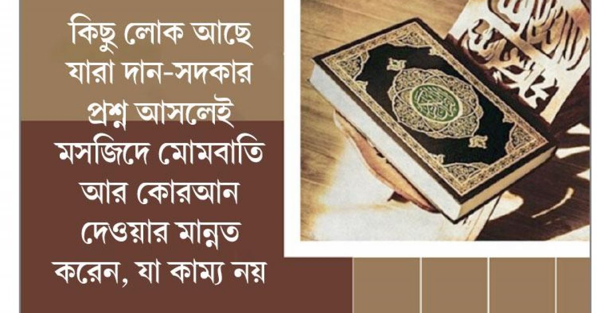 Orqadan mushuk korinishi