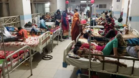ডেঙ্গুতে আরও ৮ জনের মৃত্যু