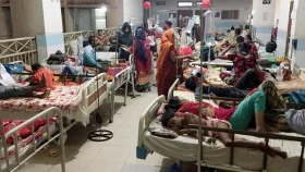 ডেঙ্গুতে আরও ২ জনের মৃত্যু, হাসপাতালে ১৬৫