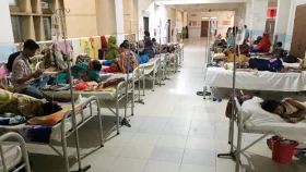 ২৪ ঘণ্টায় ডেঙ্গুতে মৃত্যু নেই, হাসপাতালে ভর্তি ৪৬ জন