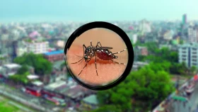 মশা নিধনে ছিটানো ওষুধ কার্যকরী না