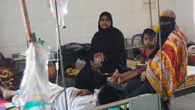 ডেঙ্গুতে আরও ৩ জনের মৃত্যু, হাসপাতালে ৭০৫