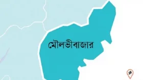 গণপিটুনিতে জায়েদ খান&nbsp;নিহত