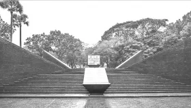 ভিউজীবিতার গ্রাসে বুদ্ধিজীবিতা