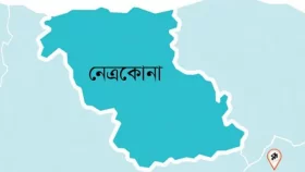 কাঠের চেলা দিয়ে বাবাকে আঘাত করেন ছেলে, অতঃপর...