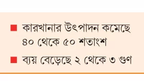 বেশি দামেও মেলে না শিল্পে