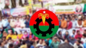উপজেলা নির্বাচন নিয়ে সিদ্ধান্ত জানাল বিএনপি