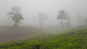 শীতে স্কুল বন্ধ থাকবে যেসব এলাকায় আজ