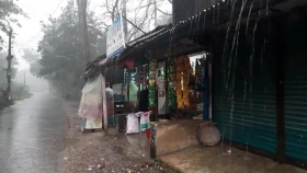 মাঘের তীব্র শীতে বৃষ্টির হানা যশোরে 