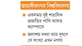 পাখি মেলায় পাখির অভাব